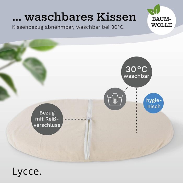 Cat bed, dog bed for small dogs | Washable cushion at 30° | Oval shape with high rim | Water hyacinth | Beds, blankets & furniture for cats | Size 1 (53 x 40 x 14 cm)