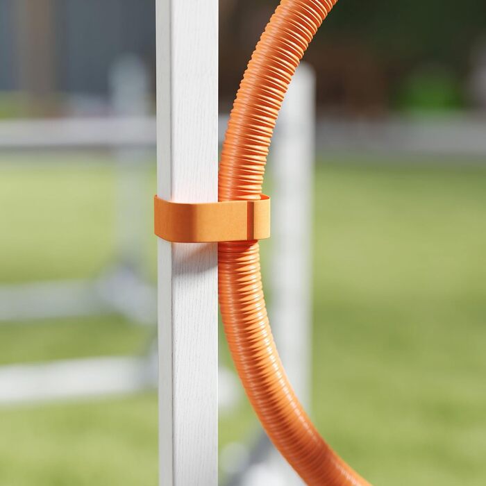 Набір для аджиліті PawHut для собак: 4 елементи, регульовані стрибки, обручі, тренувальне обладнання, координація, ігри та тренування