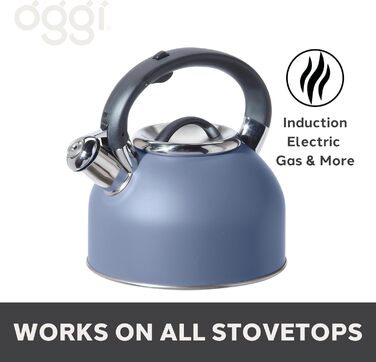 Чайник OGGI з нержавіючої сталі, 1.9 л, з гучною свистком, блакитний