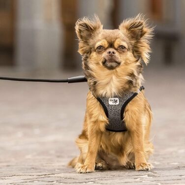 Шлейка для собак Merino Black S, чорна