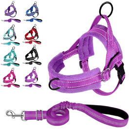 колір: віолетта