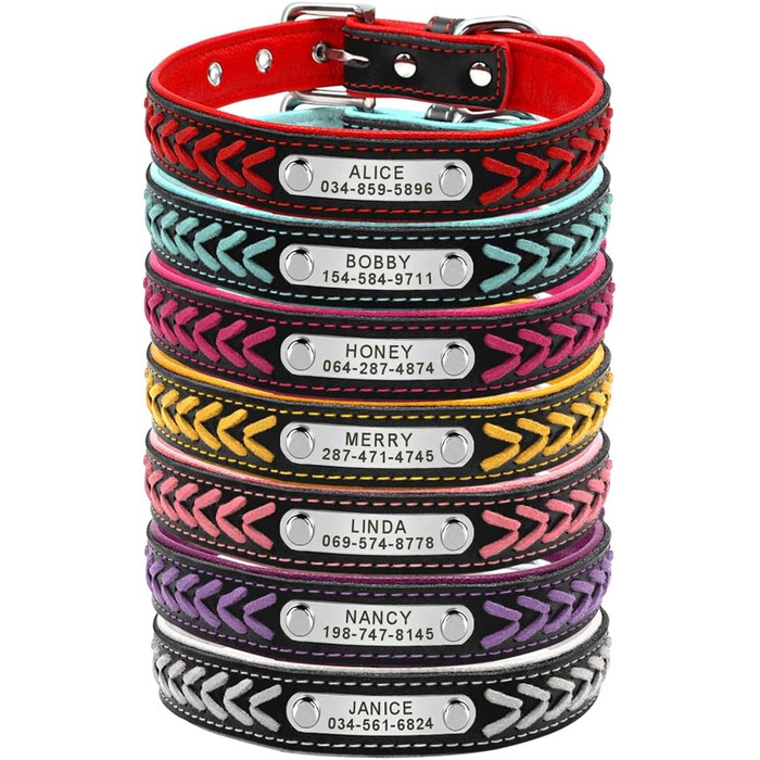 Шкіряний нашийник для собак та котів Berry з регулюванням та іменником, Rosa (L: 37-47 см)