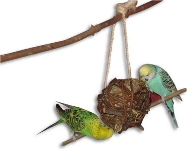 6-Piece Shredder and Nibbling Set for Birds | Basic Equipment for Bird Owners | Budgie Toy | Cockatiel Toy