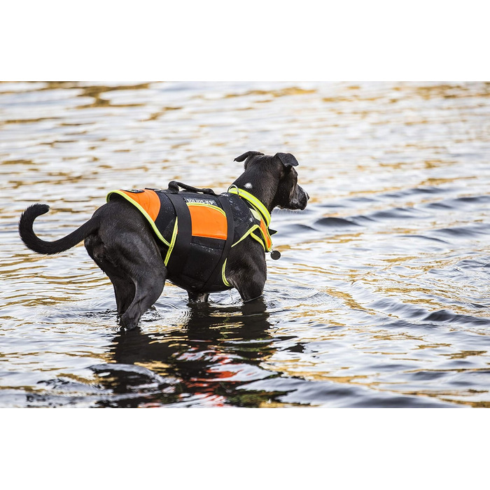 Жилет для собак Julius-K9 IDC 3в1, чорний та неоновий, розмір L (1 шт.)