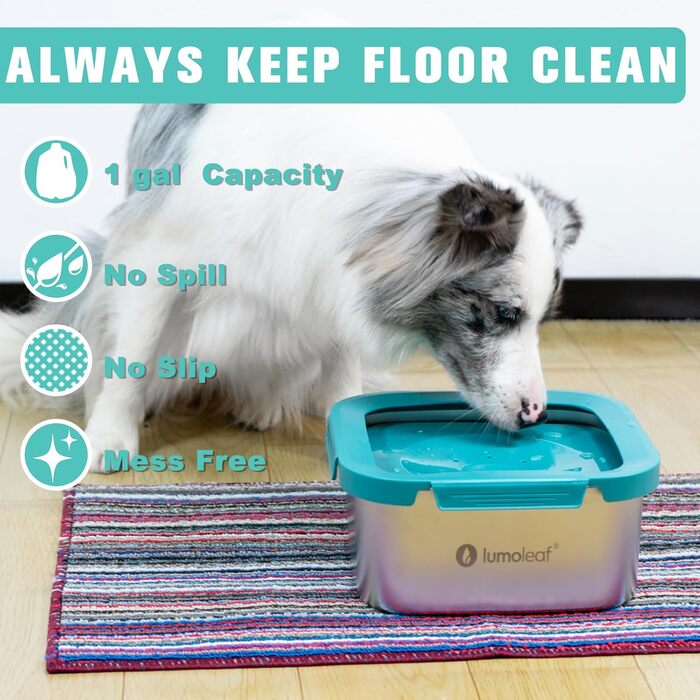 Миска для води для собак LumoLeaf, 4 літри, не протікає, з нержавіючої сталі, антиковзаюча, для подорожей, з фільтром, блакитна