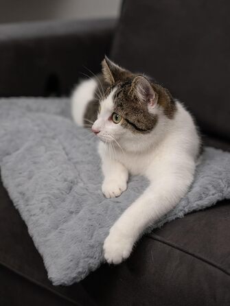 TrendPet Лежанка для собак і котів, двостороння, з підкладкою, сіра (50x35 см)