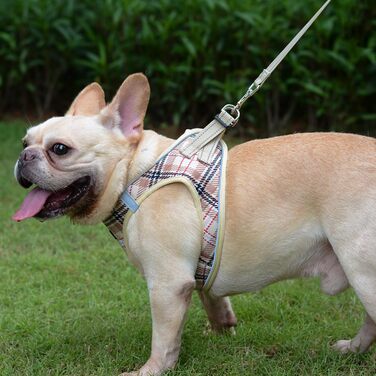 Шлейка для собак Suredoo для маленьких собак з повідком, анти-тягуча, світловідбиваюча, дихаюча, нагрудна шлейка, шлейка для цуценят (M, обхват грудей: 34-39 см) (Бежевий, XXS (обхват грудей: 22-24 см, вага: 1-1.5 кг))