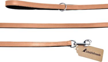 Leather Dog Leash - Training Leash - Leather Leash for Dog - Leash 3-Way Adjustable, for all Dogs (180cm, Beige)