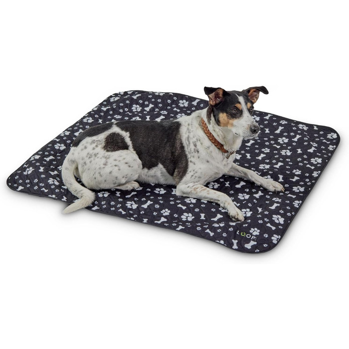 Ремінь безпеки для собак Loop для заднього сидіння авто, з карабіном, регульована довжина 60-80 см, аксесуар до килимка для собак NIMM Mich MIT