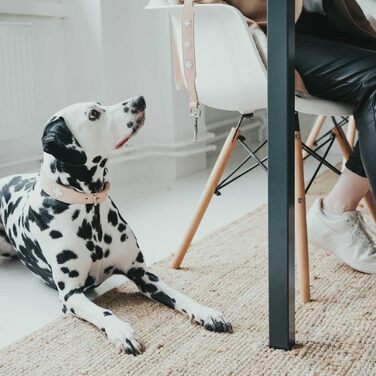 Нашийник для собак HUNTER Swiss з м'якої шкіри, ручної роботи, розмір M-L (60), колір: бежевий/натуральний