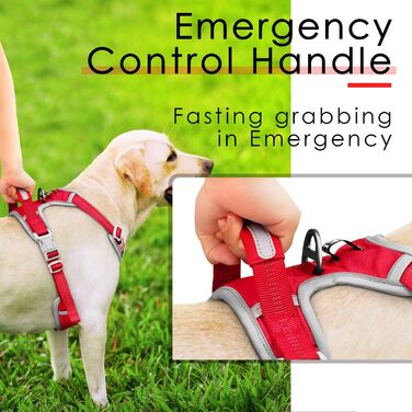 Шлейка для собак ThinkPet No-Pull, дихаюча, для малих, середніх та великих собак, регульована, м'яка, для прогулянок, безпечна, з контролем, з підкладкою, світловідбиваюча, червона, з повідком 150 см, розмір M