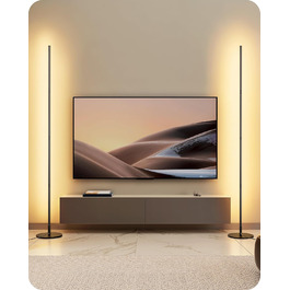 LED торшер Edishine 2 шт. з димуванням, тепле світло 3000K, регульована висота 146 см, для вітальні, спальні, офісу, чорний