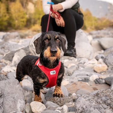 Шлейка для собак Curli Clasp Softshell, червона, розмір 2XS