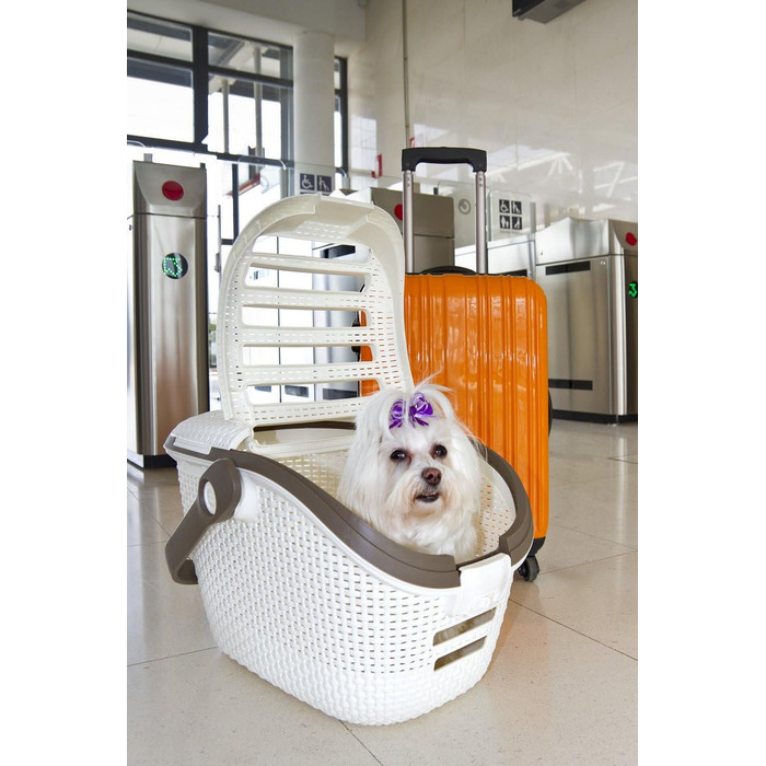 Транспортний бокс для тварин Curver Pet Transportbox L, білий/кремовий, 51x38x33 см