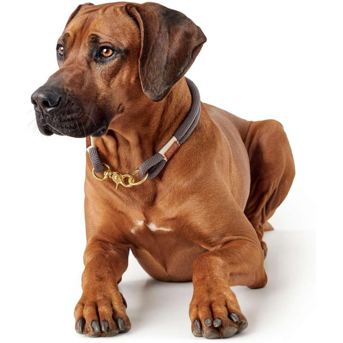 Нашийник для собак HUNTER Sansibar Rantum Halsung, сірий, розмір M-L, сучасний, морський стиль