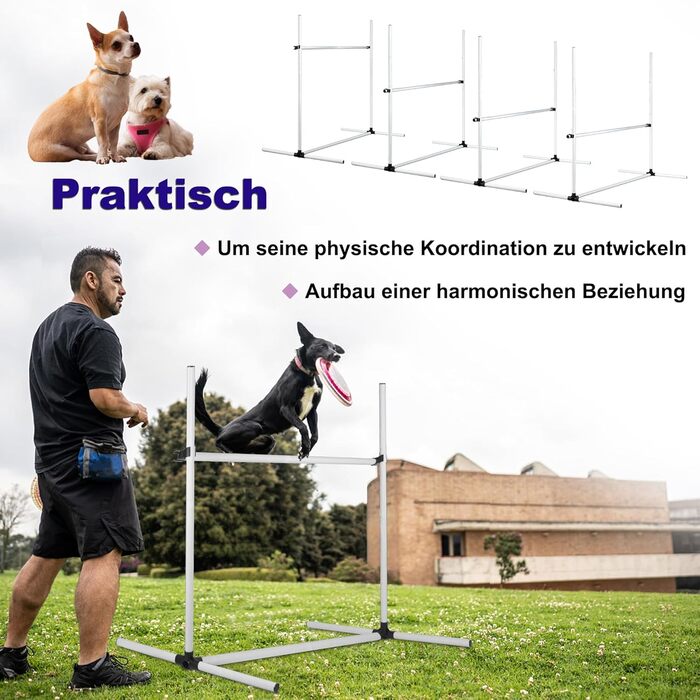 Набір для аджиліті для собак 4-TLG, комплект для тренувань собак, регульована висота, з сумкою, PVC, білий