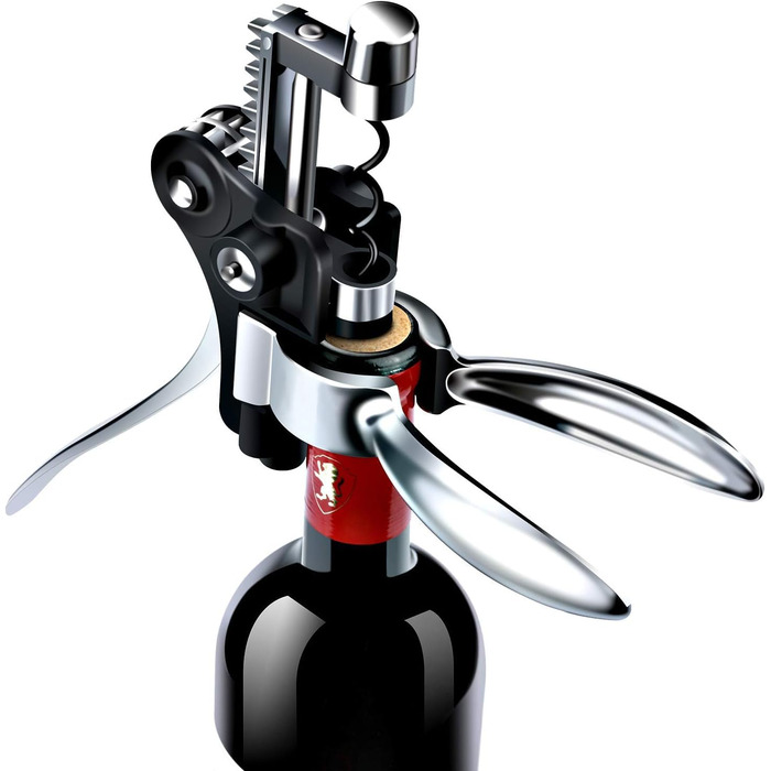Corkscrew Wine Gift Set, Premium Wine Opener Set with Foil Cutter, Wine Pourer, Vacuum Wine Stopper, for All Types of Corks, Gift for Men and Women