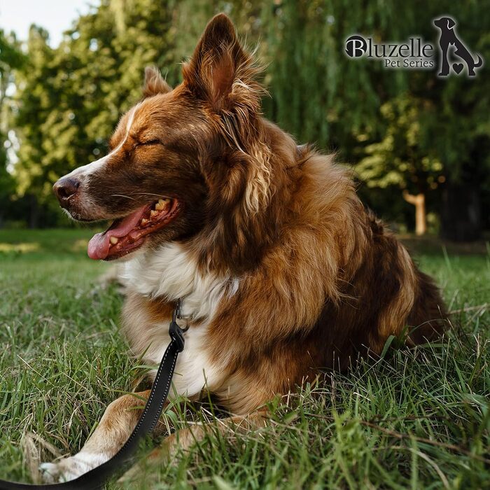 Рулетка для собак середніх та великих (до 50 кг) з відбиваючими смугами, надійний гальмо, поворотний карабін, нейлоновий ремінь, ергономічна ручка, розмір L