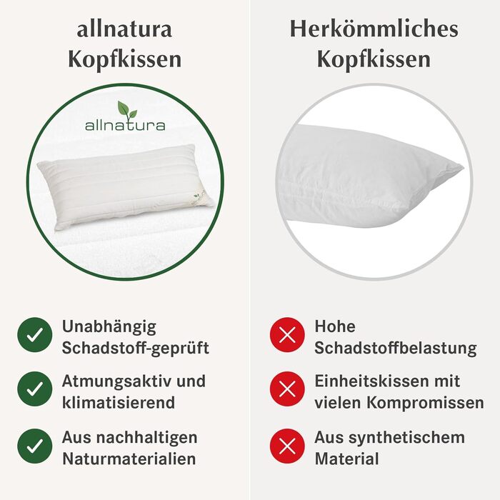 allnatura Cotton Pillow Cotona-Medicott 40x80 cm Test Winner - 100% Organic Cotton ideal for allergy sufferers - Suitable for side and back sleepers - Adjustable height & machine-washable cover - Made in Germany… 40 x 80cm cotton pillow
