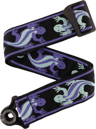 Струни для гітари D'Addario Auto Lock Vintage Planet Waves, кольори: зелений/блакитний, ширина 6.35 см