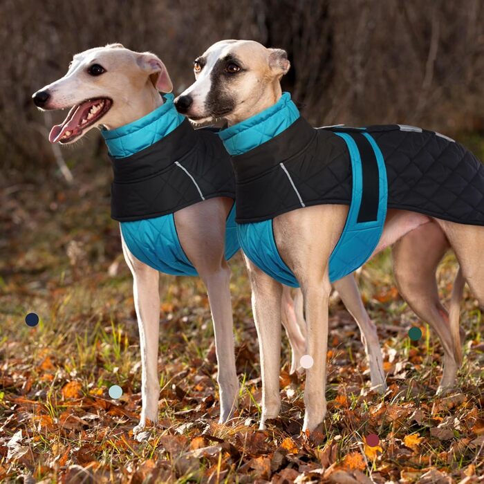 Windhound Warm Winter Coat, Greyhound Coat Adjustable Outdoor Greyhound Dog Jacket with Harness Hole Warm Dog Clothing Greyhound/Saluki (3XL, Blue)