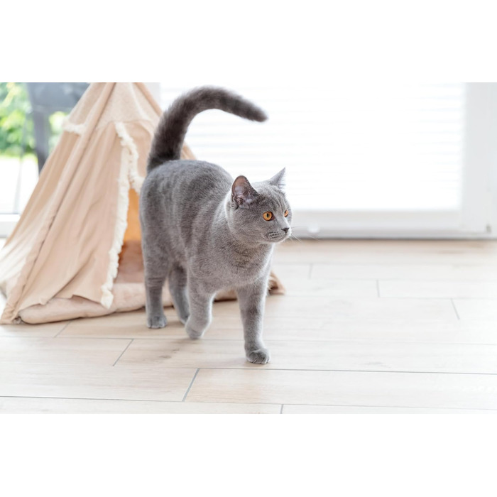 Тipi для собак та котів Trixie Boho з антиковзким покриттям, бежевий (55x65x55 см) - з подушкою