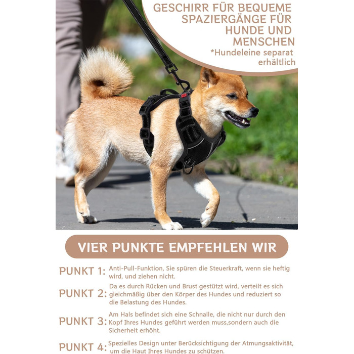 Нашийник для собак BaoCheng Anti Pull: регульований, дихаючий, з 3 пряжками, безпечний, світловідбиваючий (M, небесно-блакитний)