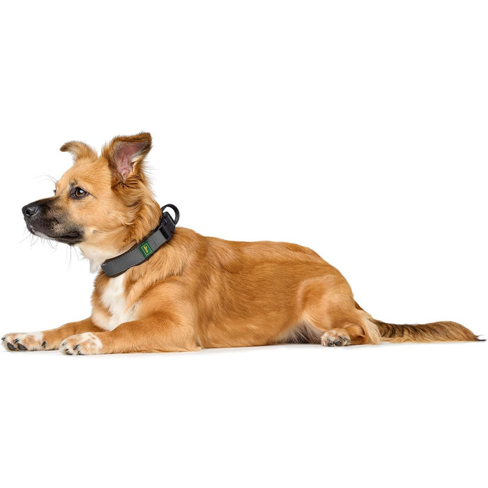 Нашийник для собак HUNTER Halsband Maldon, коричневий, дихаюча сітка, міцний нейлон, безшумний, гіпоалергенний, з полегшенням натягу, інтегрована адресна бирка, легкий, розмір S