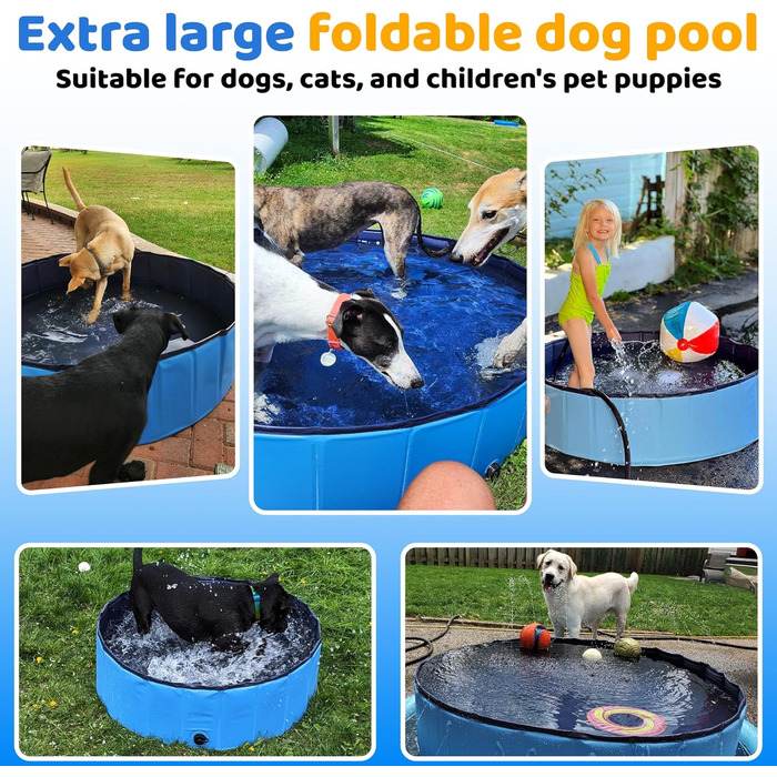 80x20 cm Foldable Dog Pool – Collapsible Plastic Hard Pool for Dogs and Children, Non-Slip Pet Bathtub for Outdoor Use in the Garden, Lightweight and Portable (Blue)