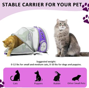 Розширюваний рюкзак для котів та маленьких собак, переноска-рюкзак з прозорим вікном, для подорожей та прогулянок (фіолетовий)
