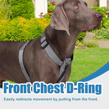 Шлейка для собак FEimaX для великих собак, тактична, не тягне, дихаюча, комфортна, сіра, міцна