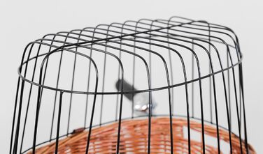 ТRIXIE Корзина для собак на велосипед, до 5 кг, 44 × 48 × 33 см - плетена корзина для руля, з пластиковим гратами, 2806 natur