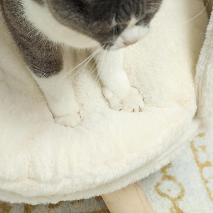 PawHut Софа для собак з подушкою, дерев'яні ніжки, миється, підняте ліжко для домашніх тварин, софа для котів та маленьких собак, 40,5 x 40,5 x 33 см (кремово-білий)