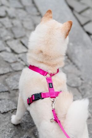 Шлейка для собак Chaba Guard для малих та середніх порід, контрольована, протисмикова, регульована, зручна, легка, класична, розмір M, фуксія/рожева