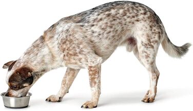 Миска для тварин HUNTER з нержавіючої сталі, 550 мл, з силіконовим дном, легко миється, довговічна