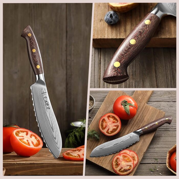 HEZHEN ніж кухарський 21 см з дамаської сталі 67 шарів, професійний, з дерев'яною піхвою, Full Tang з мікарти