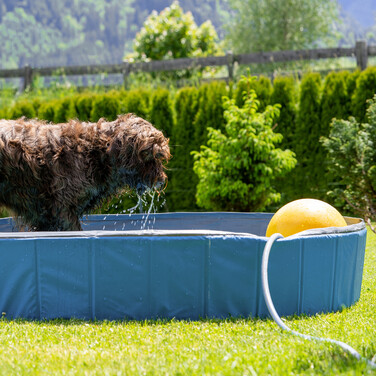 Relaxdays Blue Dog Pool