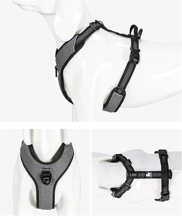TRUE LOVE Dog Harness Outdoor Adventure II, reflective vest with 2 leash attachments, matching leash and collar available, TLH6071