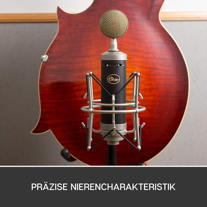 Професійний конденсаторний мікрофон Blue Yeti SL для запису та стрімінгу, сірий (з адаптером для стійки)
