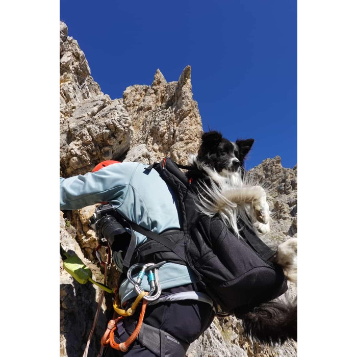 Преміум рюкзак для собак, переноска для собак 11-18 кг, система підтримки 4-х ременів