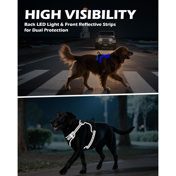 Світловідбиваючий нашийник для собак Joytale з LED, перезаряджуваний, для середніх собак, не тягне, з ручкою, регульований, для нічних прогулянок, чорно-синій, M (1 шт.)