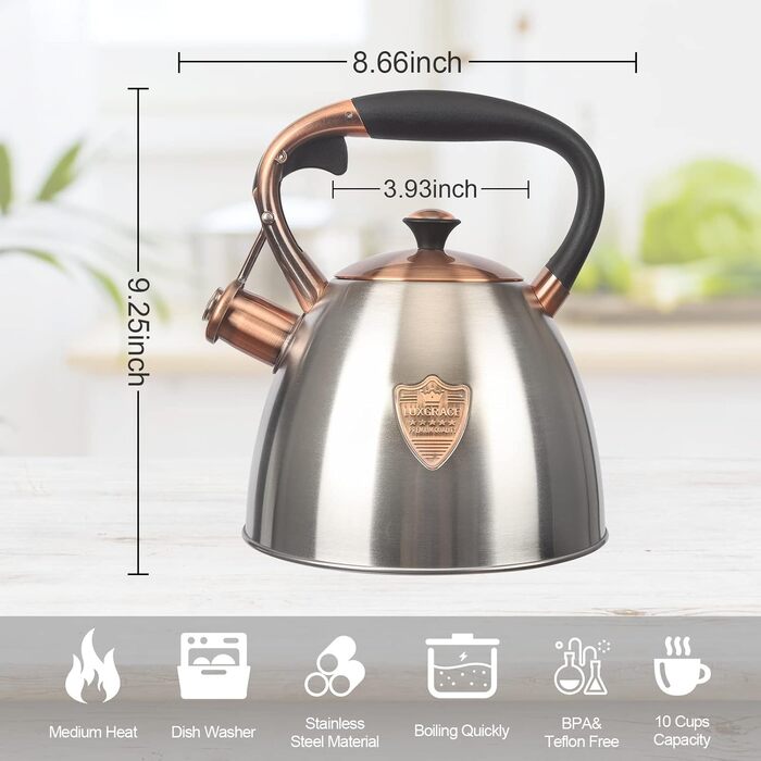 Чайник для плити Teekessel з нержавіючої сталі, 2,9 л