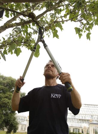 Секатор Spear & Jackson 8071KEW Kew Gardens телескопічний, двокомпонентний, байпасний для обрізки гілок