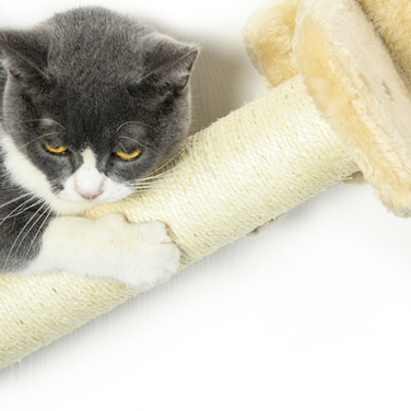 PawHut Комплект для котячого комплексу з підйомом 5 частин з драбиною у милій формі хмаринок, 2 стовпчики для шліфування кігтів, платформи, гамак з плюшу, Бежевий