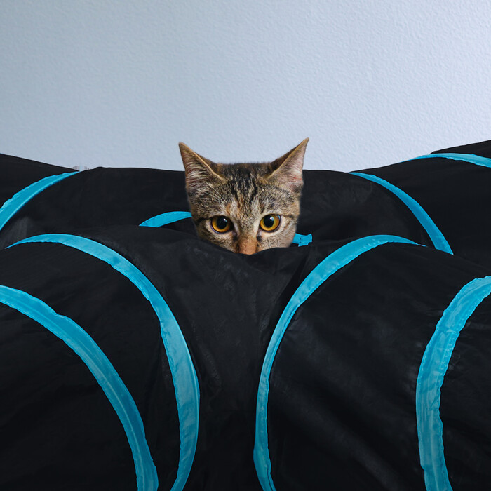 Складаний котячий тунель Relaxdays з 4 способами