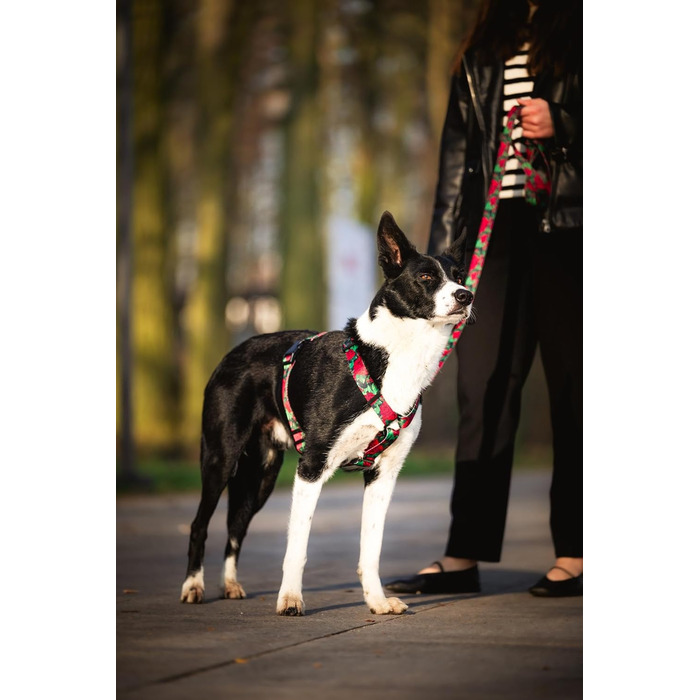 Шлейка для собак середніх порід | Не вбирає вологу | Регульована | З контролем | Легка класична шлейка | Dog Harness | Eternal Rose, M - виміряйте розмір собаки