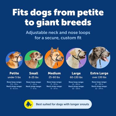 Нашийник для дресирування PetSafe Sanfter Führer (яблучно-зелений, S) з навчальною DVD