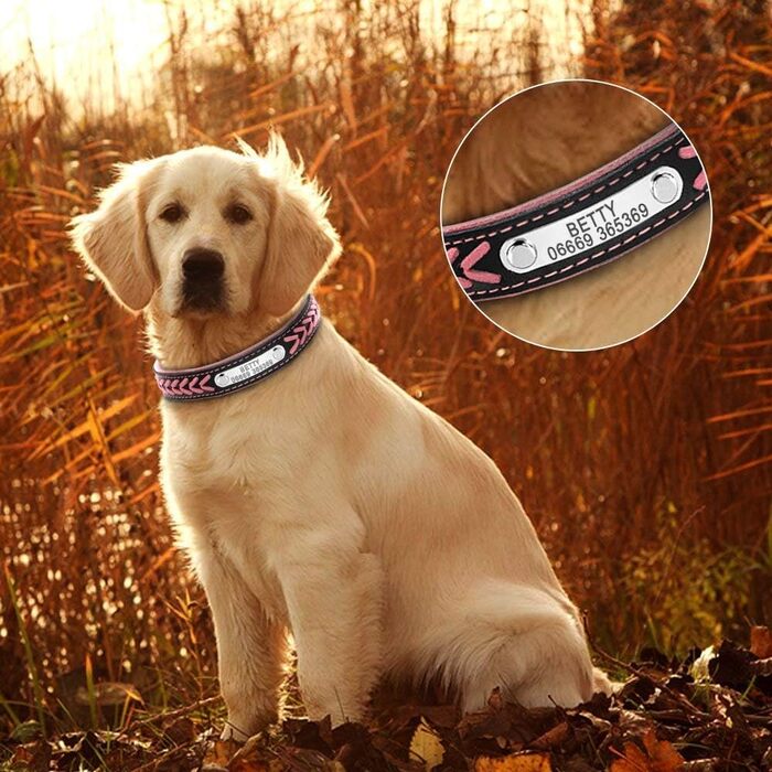Шкіряний нашийник для собак та котів Berry з регулюванням та іменником, Rosa (L: 37-47 см)