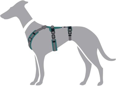 Нашийник для собак Maldon, колір petrol/сірий, розмір L
