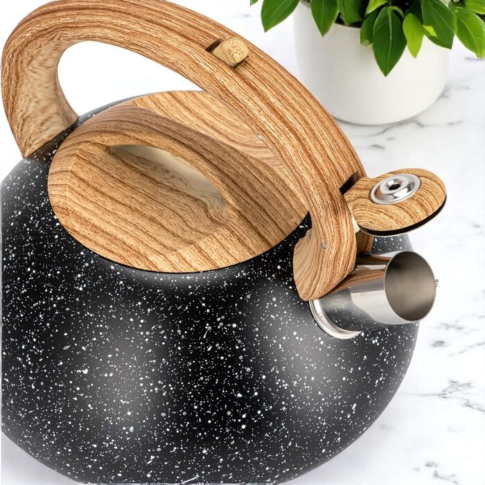 Електричний чайник EliteHoff 3L з нержавіючої сталі з автоматичним свистком, сірий, для всіх типів плит (E-5110)